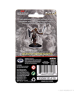 WizKids - WZK D&D: Icons of the Realms - Premium Painted Figures - Dragonborn Paladin