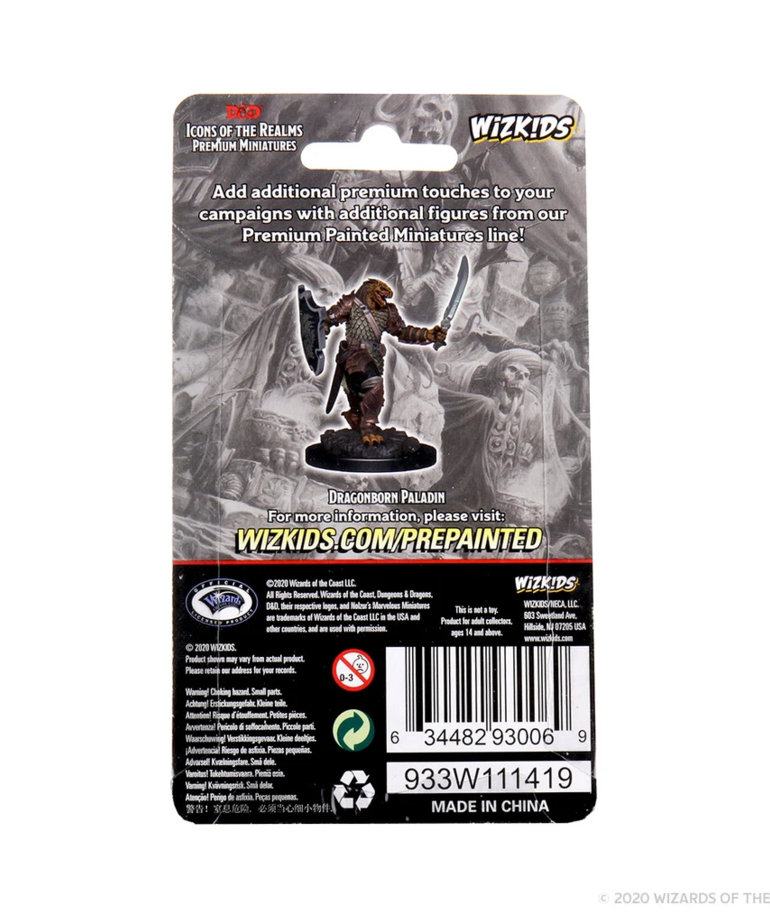 WizKids - WZK D&D: Icons of the Realms - Premium Painted Figures - Dragonborn Paladin