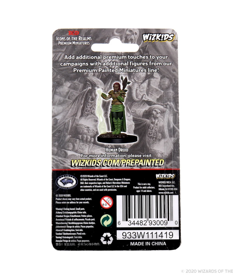 WizKids - WZK D&D: Icons of the Realms - Premium Painted Figures - Human Druid (She/Her/They/Them)