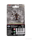 WizKids - WZK D&D: Icons of the Realms - Premium Painted Figures - Dwarf Fighter (He/Him/They/Them)