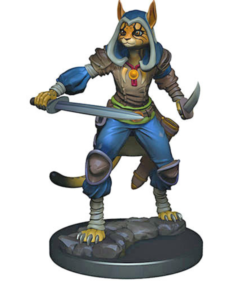 WizKids - WZK D&D: Icons of the Realms - Premium Painted Figures - Tabaxi Rogue (She/Her/They/Them)