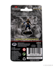 WizKids - WZK D&D: Icons of the Realms - Premium Painted Figures - Tabaxi Rogue (She/Her/They/Them)