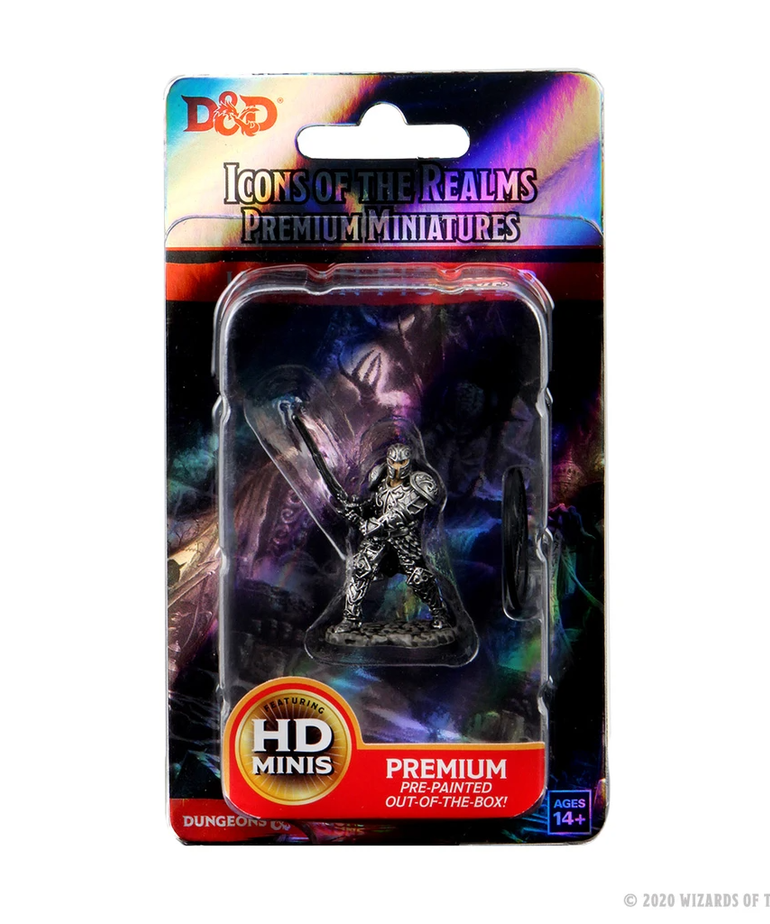WizKids - WZK D&D: Icons of the Realms - Premium Painted Figures - Human Fighter (He/Him/They/Them)