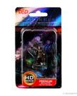 WizKids - WZK D&D: Icons of the Realms - Premium Painted Figures - Elf Cleric (She/Her/They/Them)