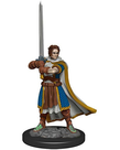 WizKids - WZK D&D: Icons of the Realms - Premium Painted Figures - Human Cleric Male