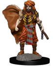 WizKids - WZK D&D: Icons of the Realms - Premium Painted Figures - Male Human Druid