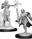 WizKids - WZK D&D: Nolzur's Marvelous Unpainted Miniatures - Female Multiclass Warlock & Sorcerer