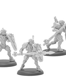 Privateer Press - PIP Iron Star Alliance - Paladin Defenders