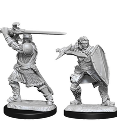 WizKids - WZK D&D: Wave 14 Male Human Paladin