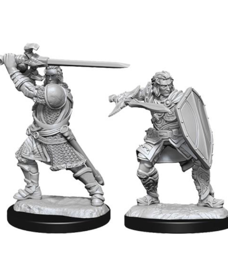 WizKids - WZK D&D: Nolzur's Marvelous Unpainted Miniatures - Wave 14 Male Human Paladin