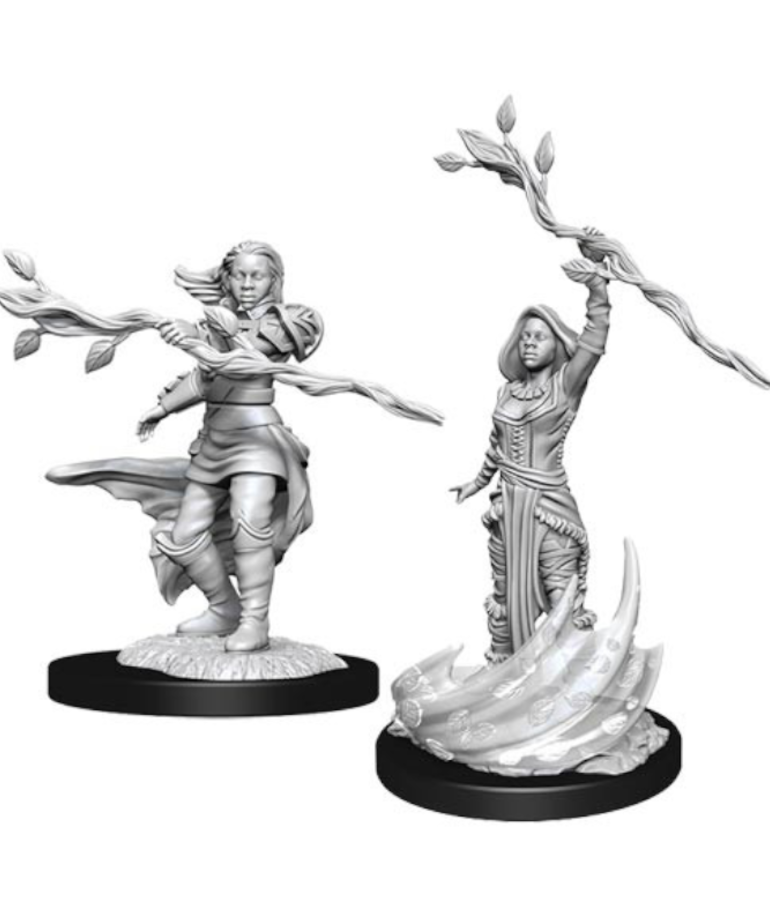 WizKids - WZK D&D: Nolzur's Marvelous Unpainted Miniatures - Wave 14 Female Human Druid