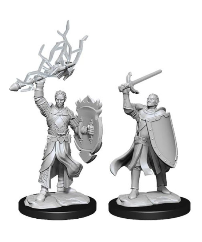 WizKids - WZK D&D: Nolzur's Marvelous Unpainted Miniatures - Wave 14 Male Half-Elf Paladin