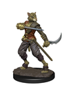 WizKids - WZK D&D: Icons of the Realms - Premium Painted Figures - Wave 6 - Male Tabaxi Rogue