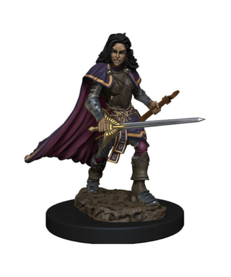 WizKids - WZK Pathfinder Battles: Premium Painted Figures - Female Human Bard