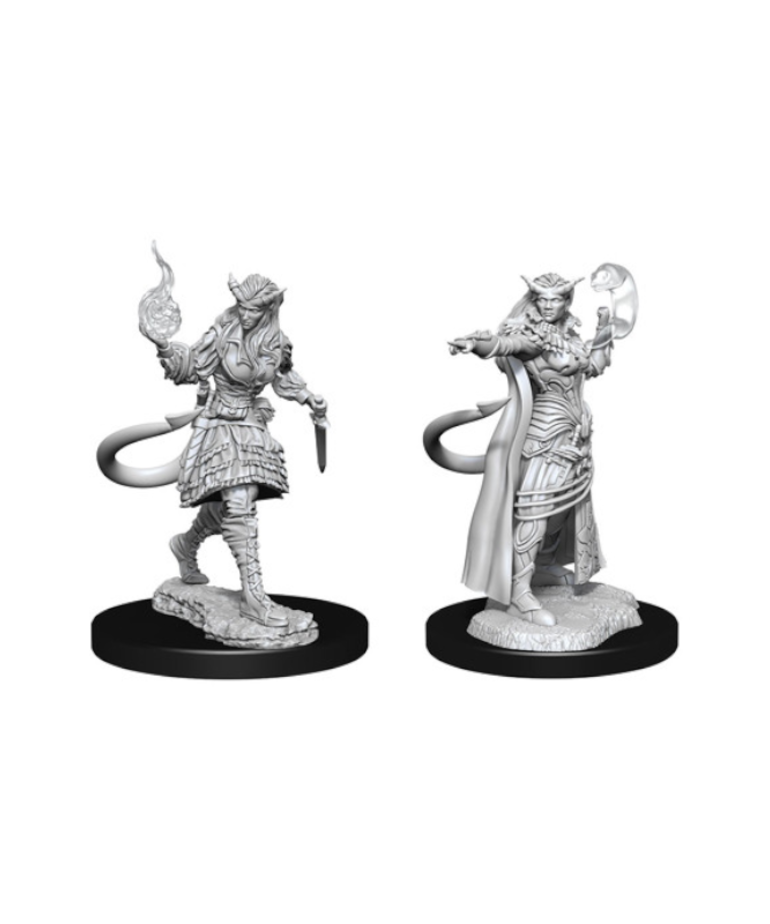 WizKids - WZK D&D: Nolzur's Marvelous Unpainted Miniatures - Wave 15 - Female Tiefling Sorcerer