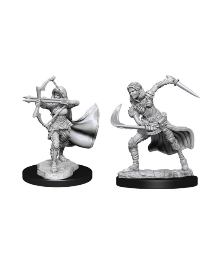 WizKids - WZK D&D: Nolzur's Marvelous Unpainted Miniatures - Wave 15 - Female Air Genasi