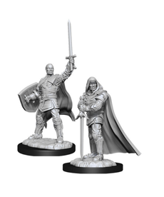 WizKids - WZK Wave 13 - Male Human Paladin