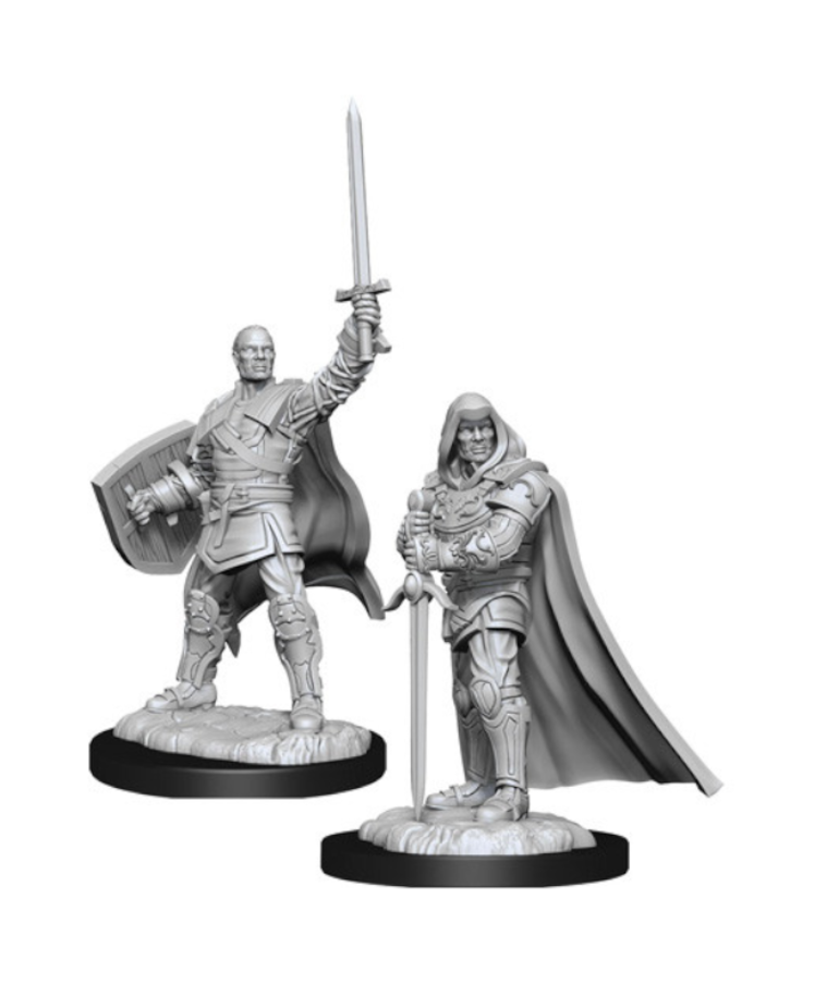 WizKids - WZK D&D: Nolzur's Marvelous Unpainted Miniatures - Wave 13 - Male Human Paladin