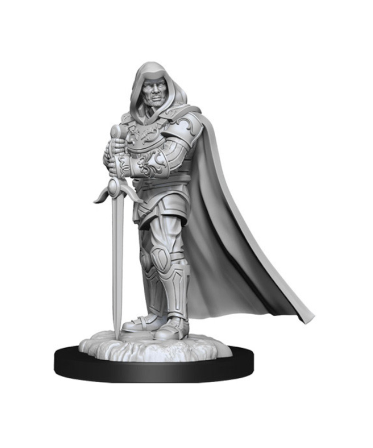 WizKids - WZK D&D: Nolzur's Marvelous Unpainted Miniatures - Wave 13 - Male Human Paladin