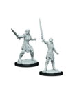 WizKids - WZK CLEARANCE - Critical Role: Unpainted Miniatures - Wave 1 - Female Human Dwendalian Empire Fighter