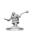 WizKids - WZK D&D - Nolzur's Marvelous Unpainted Miniatures - Wave 16 - Female Dwarf Fighter