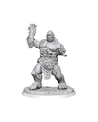 WizKids - WZK Pathfinder Battles - Deep Cuts Unpainted Miniatures - Wave 16 - Zombie Brute