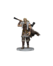 WizKids - WZK D&D: Icons of the Realms - Adventures in the Forgotten Realms - Companions of the Hall