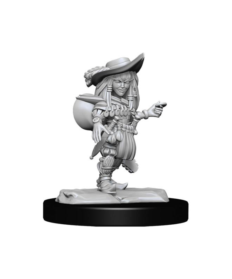 WizKids - WZK Pathfinder Battles: Deep Cuts - Wave 15 - Female Gnome Bard