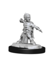 WizKids - WZK Pathfinder Battles: Deep Cuts - Wave 15 - Male Halfling Monk