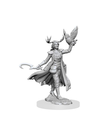 WizKids - WZK D&D - Frameworks - Wave 1 - Female Human Druid