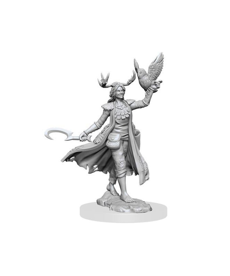 WizKids - WZK D&D - Frameworks - Wave 1 - Female Human Druid