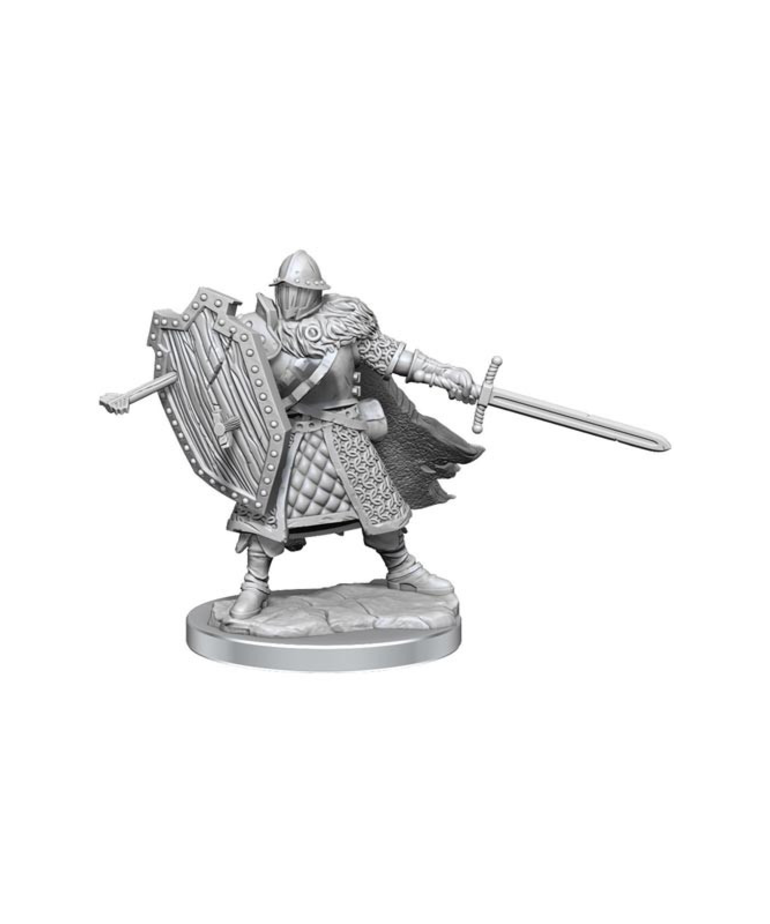 WizKids - WZK D&D - Frameworks - Wave 1 - Male Human Fighter