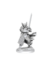 WizKids - WZK D&D - Frameworks - Wave 1 - Male Dragonborn Paladin