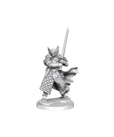 WizKids - WZK Frameworks Wave 1 Male Dragonborn Paladin