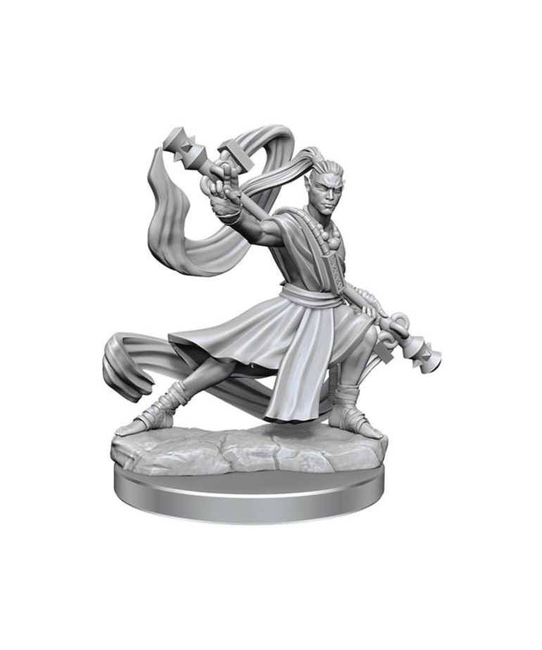 WizKids - WZK CLEARANCE - D&D - Frameworks - Wave 1 - Male Elf Monk