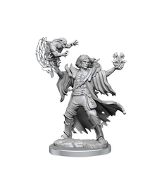 WizKids - WZK D&D Frameworks Wave 1 Male Human Warlock