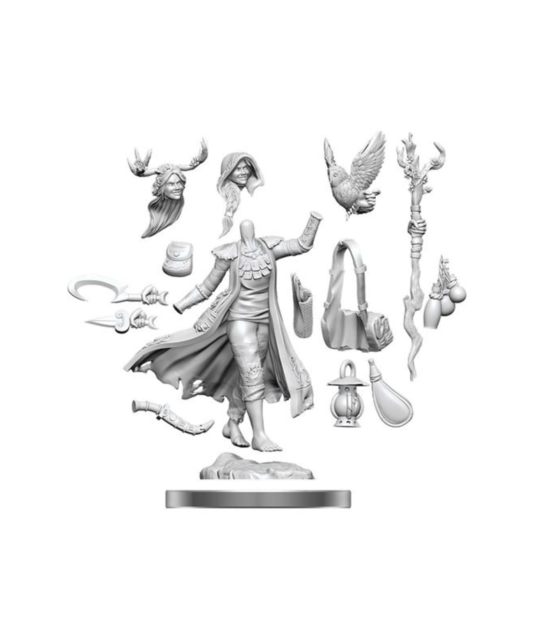 WizKids - WZK D&D - Frameworks - Wave 1 - Female Human Druid