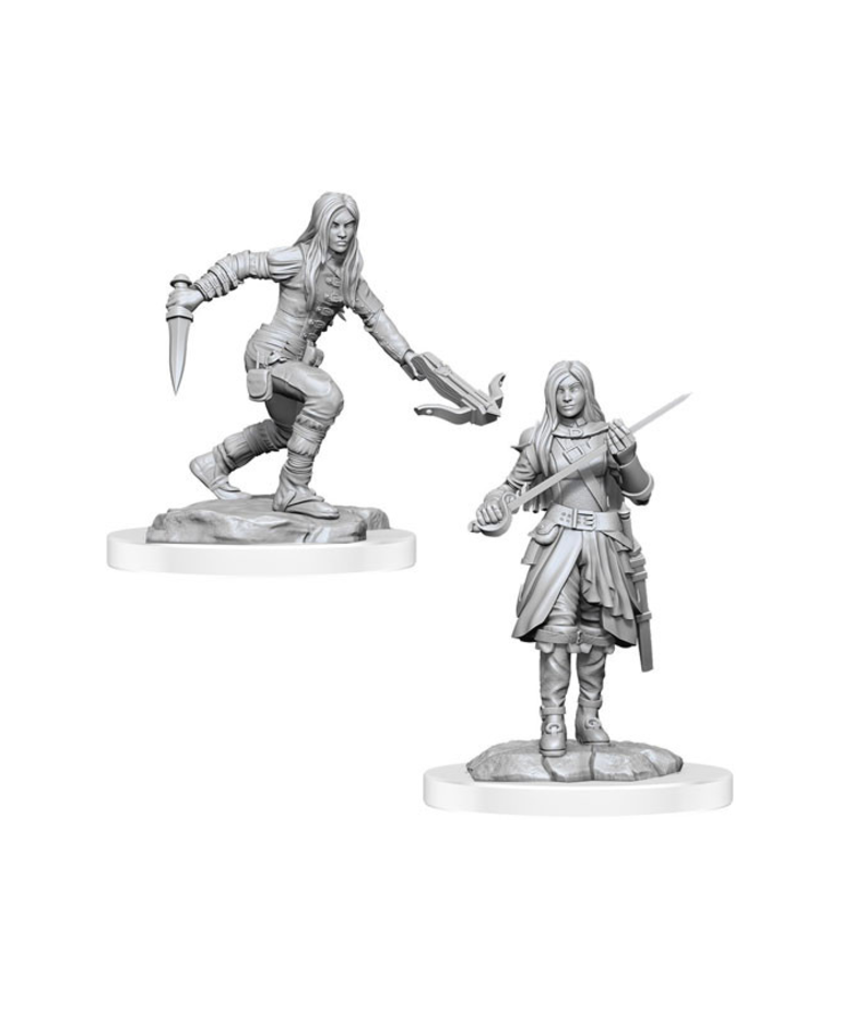 WizKids - WZK D&D: Nolzur's Marvelous Unpainted Miniatures - Wave 17 - Female Half-Elf Rogue