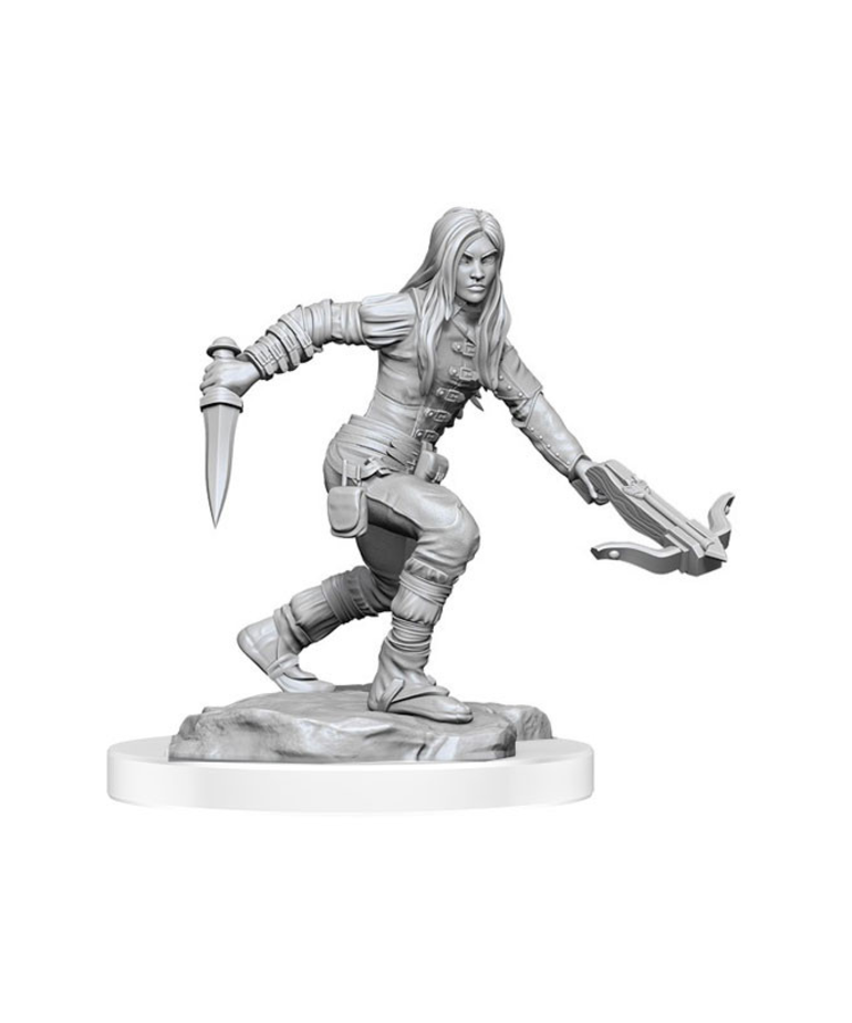 WizKids - WZK D&D: Nolzur's Marvelous Unpainted Miniatures - Wave 17 - Female Half-Elf Rogue