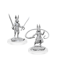 WizKids - WZK Wave 17 - Harengon Rogues