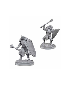 WizKids - WZK Wave 18 - Dragonborn Clerics