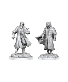 WizKids - WZK Male Human Sorcerer Merchant & Tiger Demon