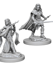 WizKids - WZK Pathfinder: Deep Cuts - Human Female Bard