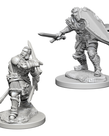 WizKids - WZK D&D: Nolzur's Marvelous Unpainted Miniatures - Human Male Paladin Wave 3