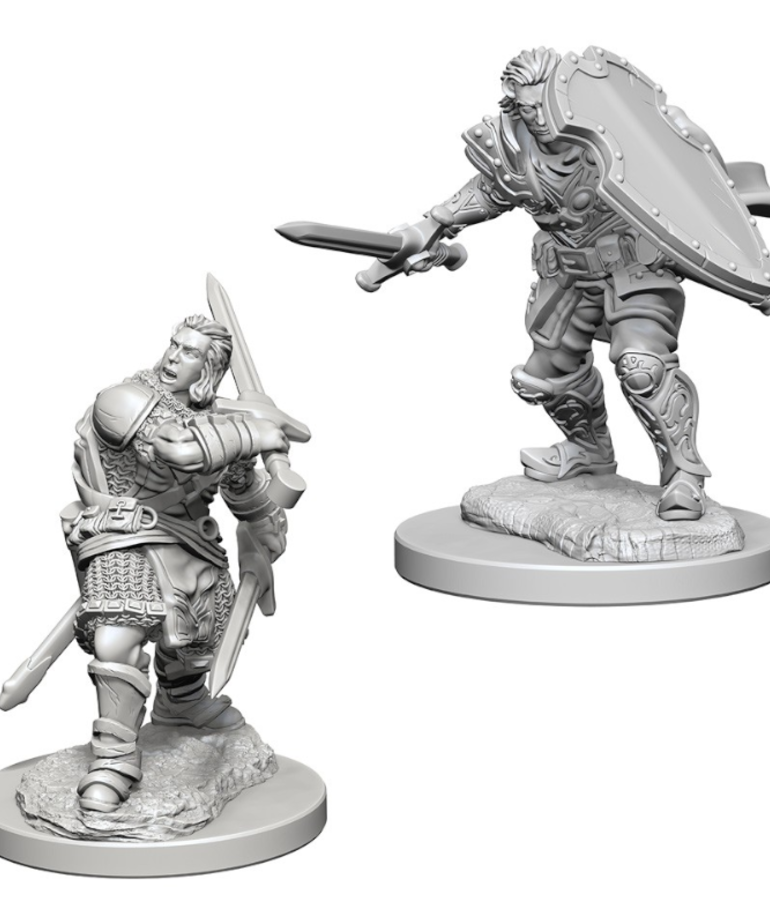 WizKids - WZK D&D: Nolzur's Marvelous Unpainted Miniatures - Human Male Paladin Wave 3