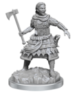 WizKids - WZK D&D - Nolzur's Marvelous Unpainted Miniatures - Wave 21 - Human Fighters