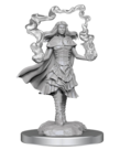 WizKids - WZK D&D - Nolzur's Marvelous Unpainted Miniatures - Wave 21 - Dark Spellcaster & Flameskulls