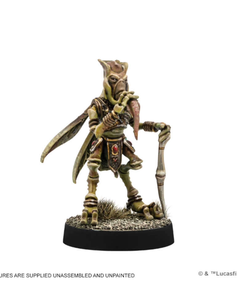 Atomic Mass Games - AMG Star Wars: Legion - Sun Fac & Poggle the Lesser Commander Expansion