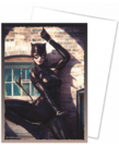 Arcane Tinmen - ATM Dragon Shield - Art Matte Sleeves - No. 4 Catwoman (100)
