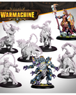 Steamforged Games LTD - STE Warmachine - Khymaera Shard Incarnates - Command Cadre